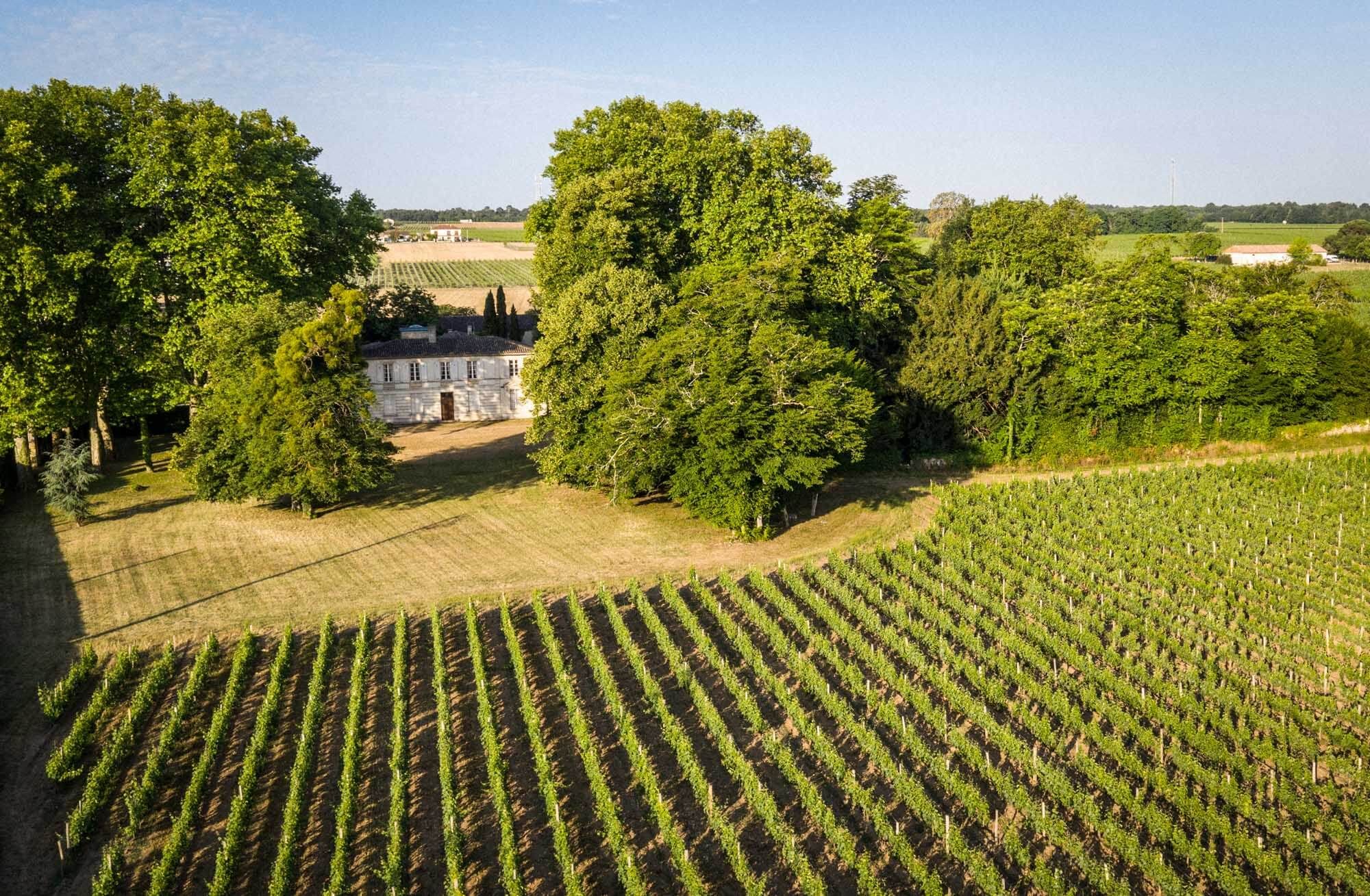 Château Rahoul - Dourthe