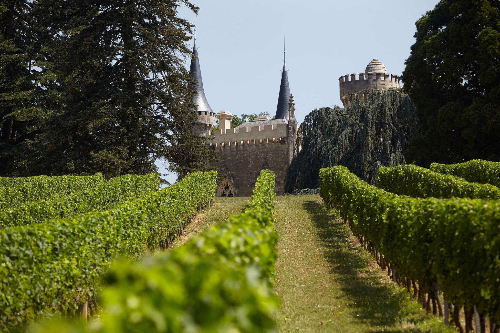 Château de Ricaud - Dourthe