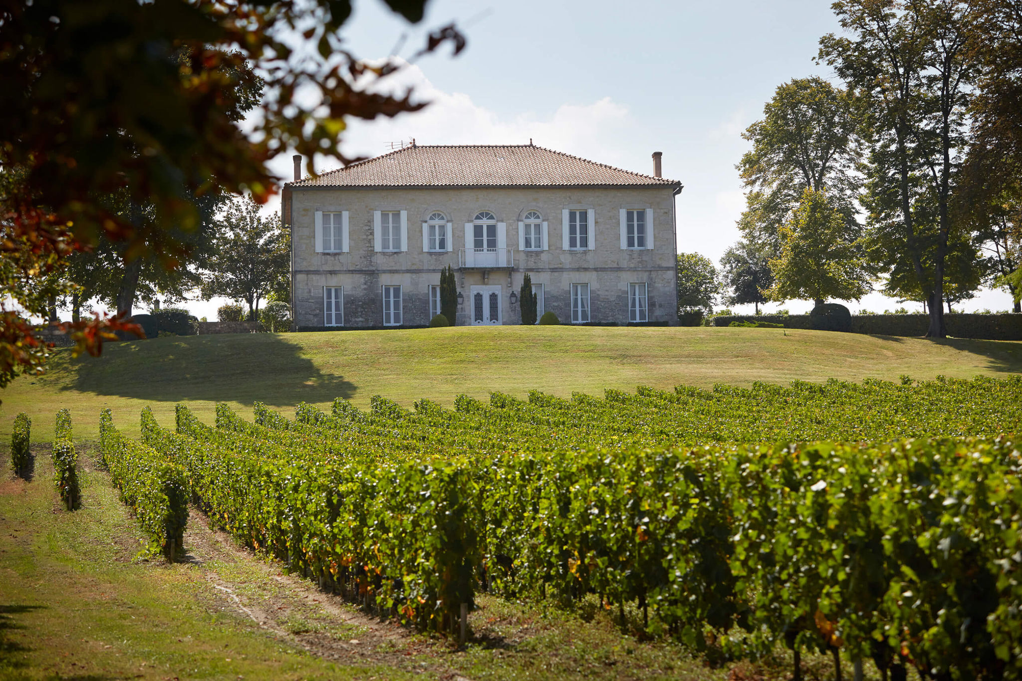 Chateau Reysson - Dourthe