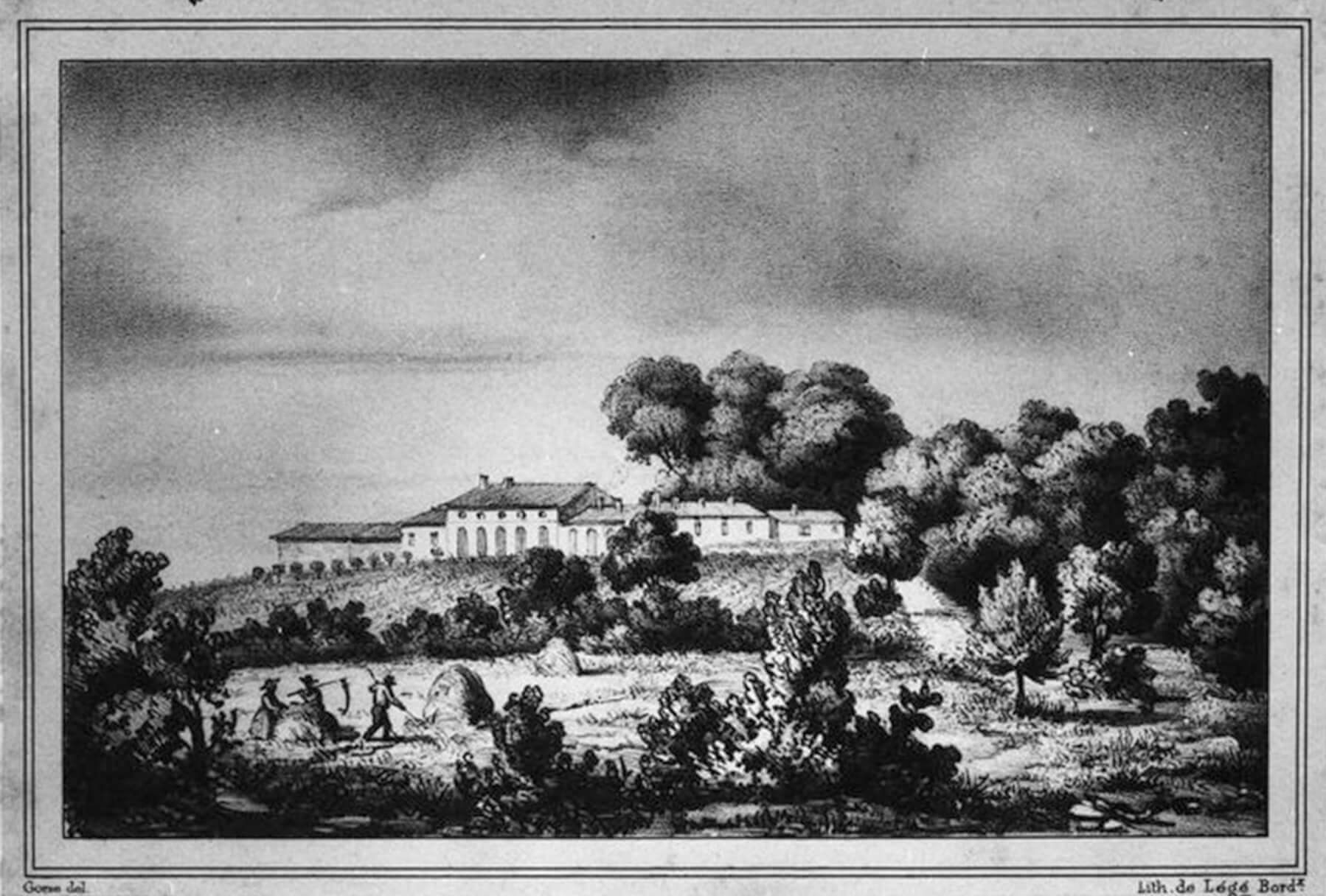 Chateau Le Boscq - Dourthe