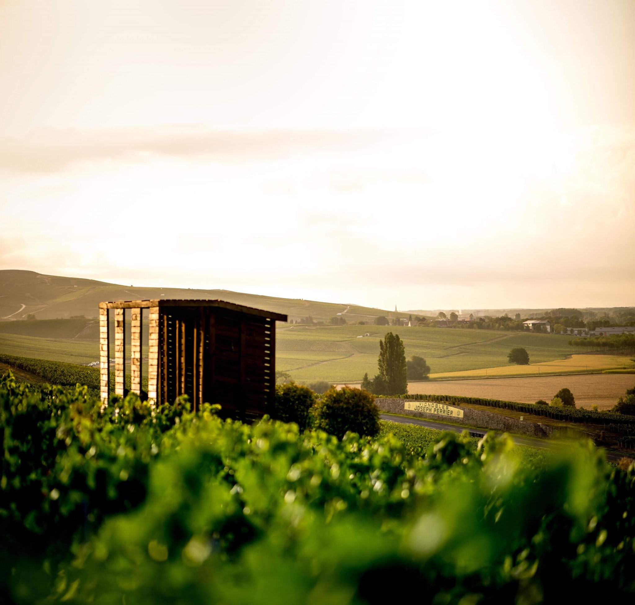 The House - Dourthe