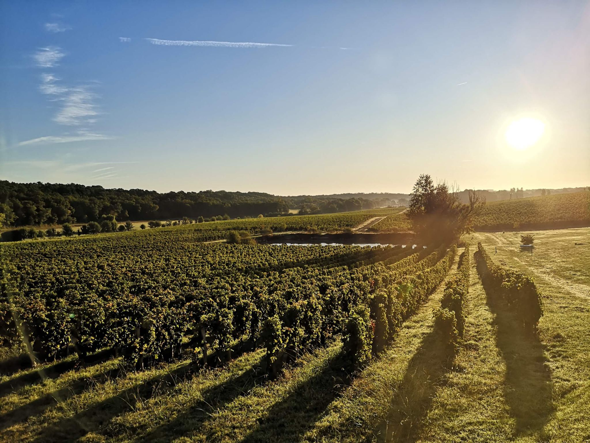 Nous Rendre Visite - Dourthe