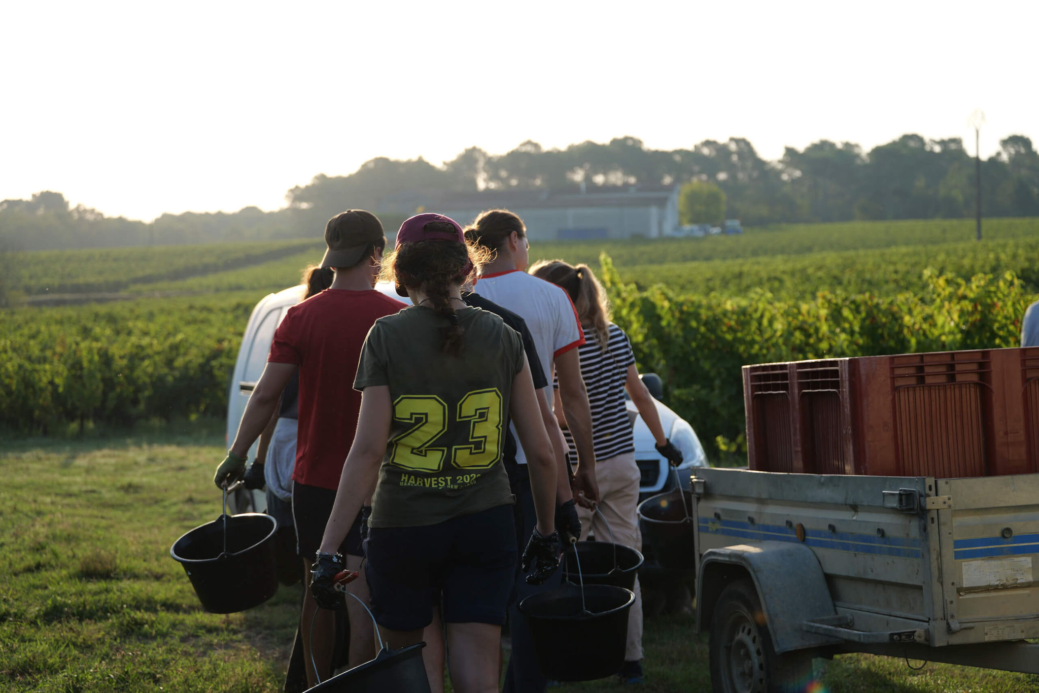 VENDANGES DOURTHE