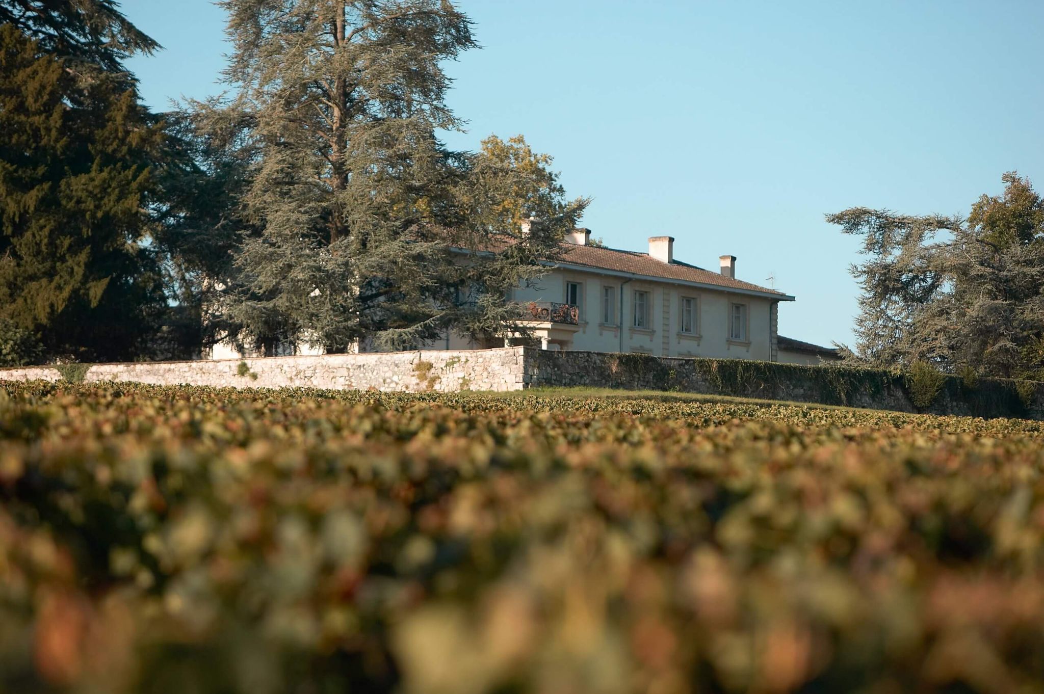 Autumn recipe with Château Pey La Tour Réserve du Château - Dourthe