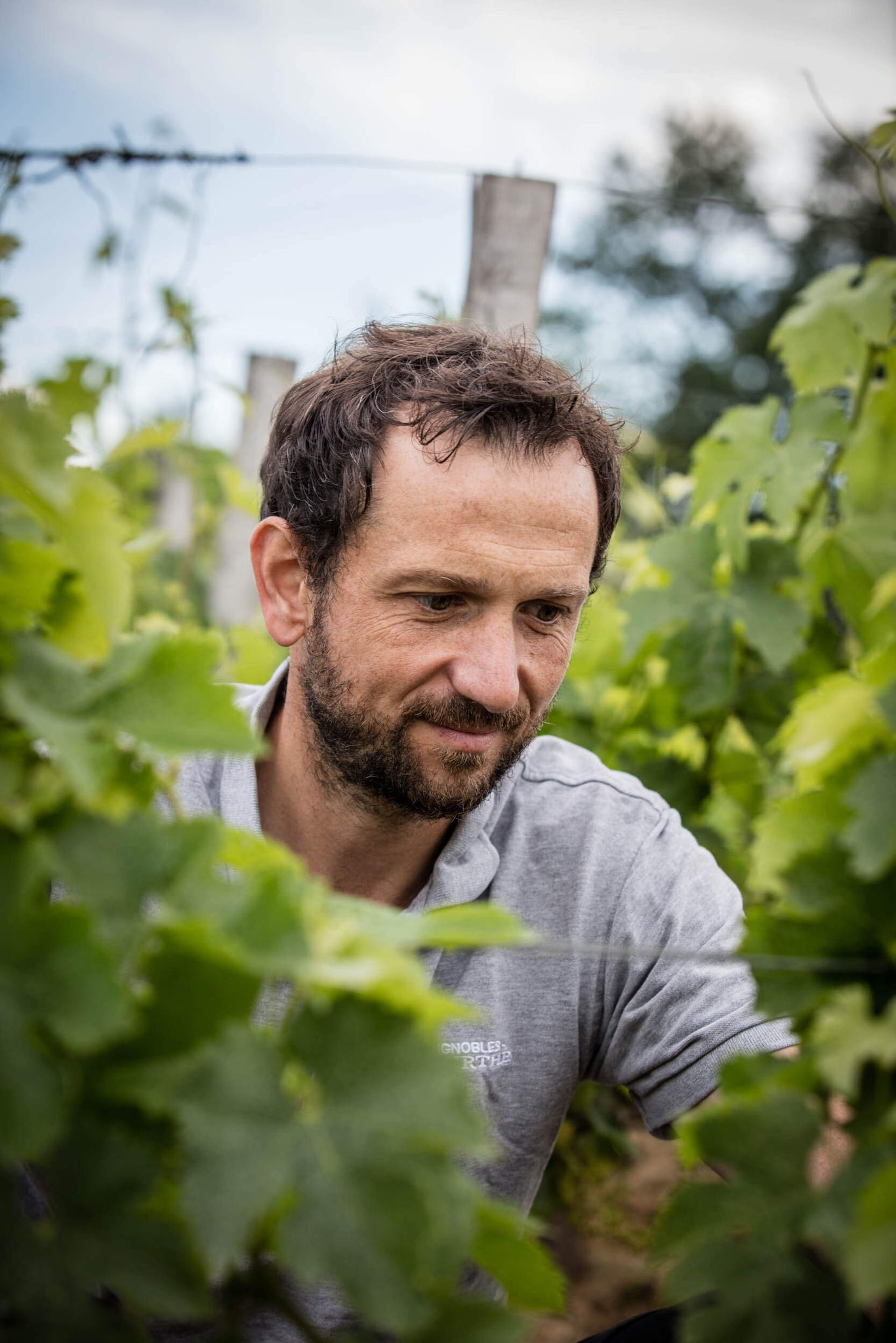 Initiatives positives au vignoble - Dourthe