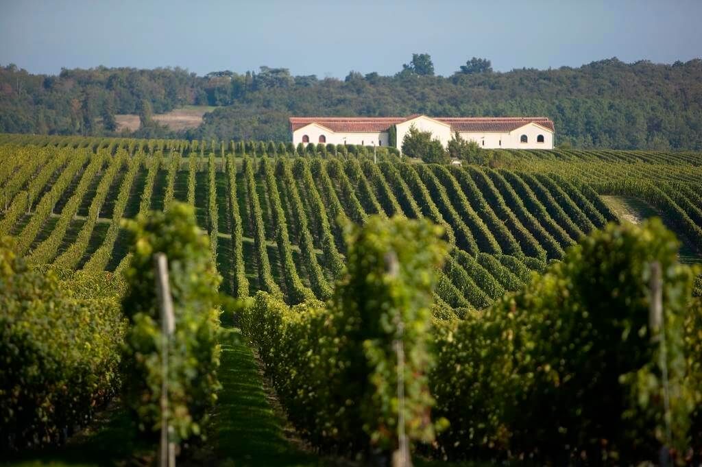 Château Pey La Tour Vieille Vignes 2019 : l’un des meilleurs vins rouges pour Noël - Dourthe