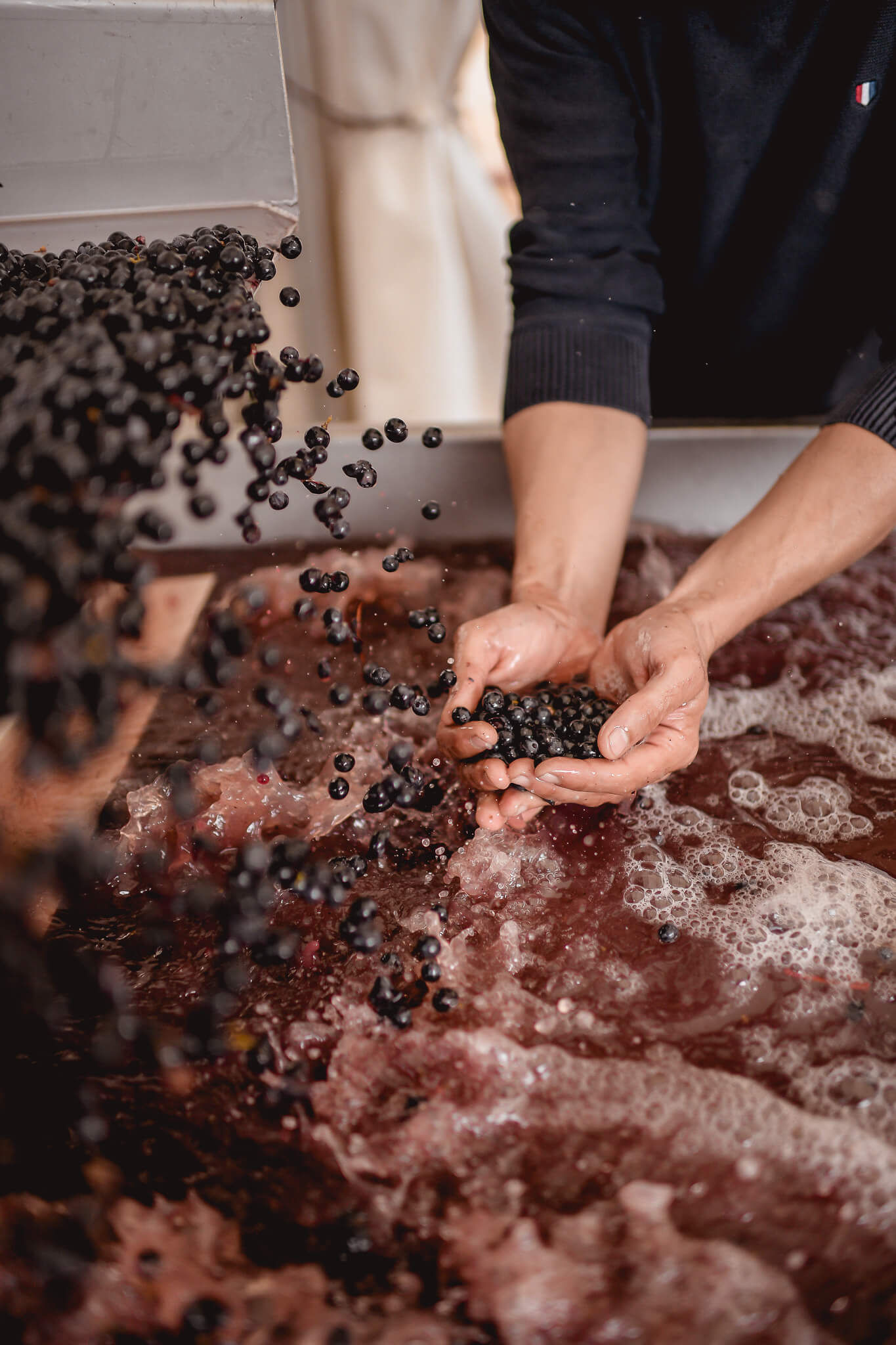Harvest 2025: Pénélope Godefroy’s perspective on a singular year - Dourthe
