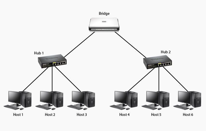 Bridge Network Illustration