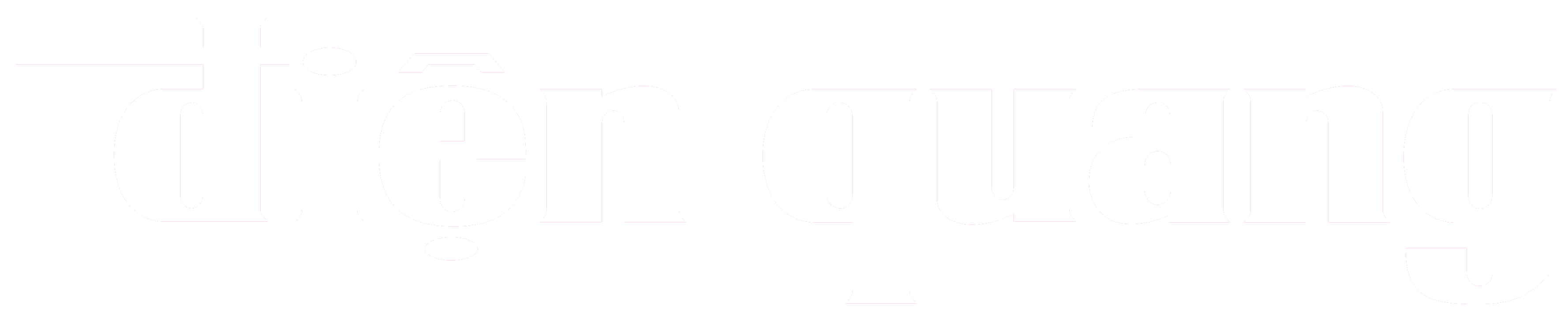 Công ty Cổ phần Tập Đoàn Điện Quang