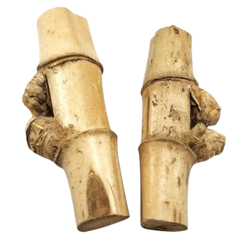 Bambu Petuk Bertuah