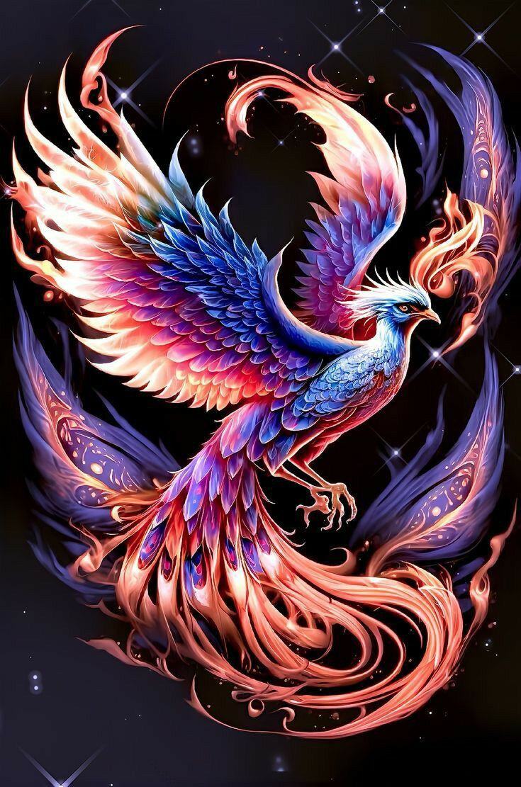 Gambar Burung Feng