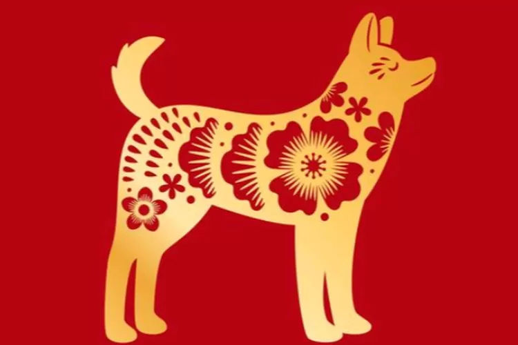 Shio Anjing di Casino
