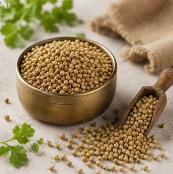 Coriander - Image 1