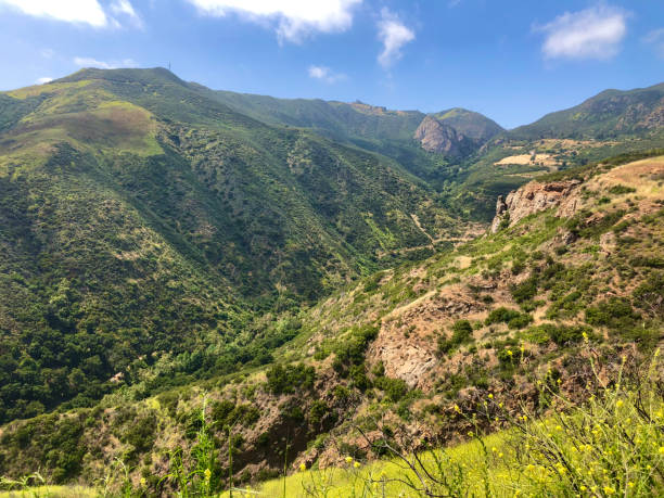 Topanga State Park