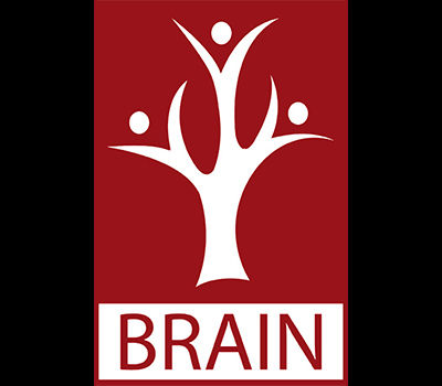 brain