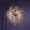 Modern Light Chandelier