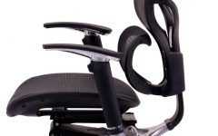 Executive Office Chairs with Adjustable Lumbar Support