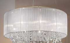 20 Best Drum Lamp Shades for Chandeliers
