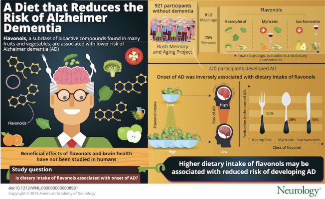 Dieta rica em flavonóides diminui o risco de Alzheimer