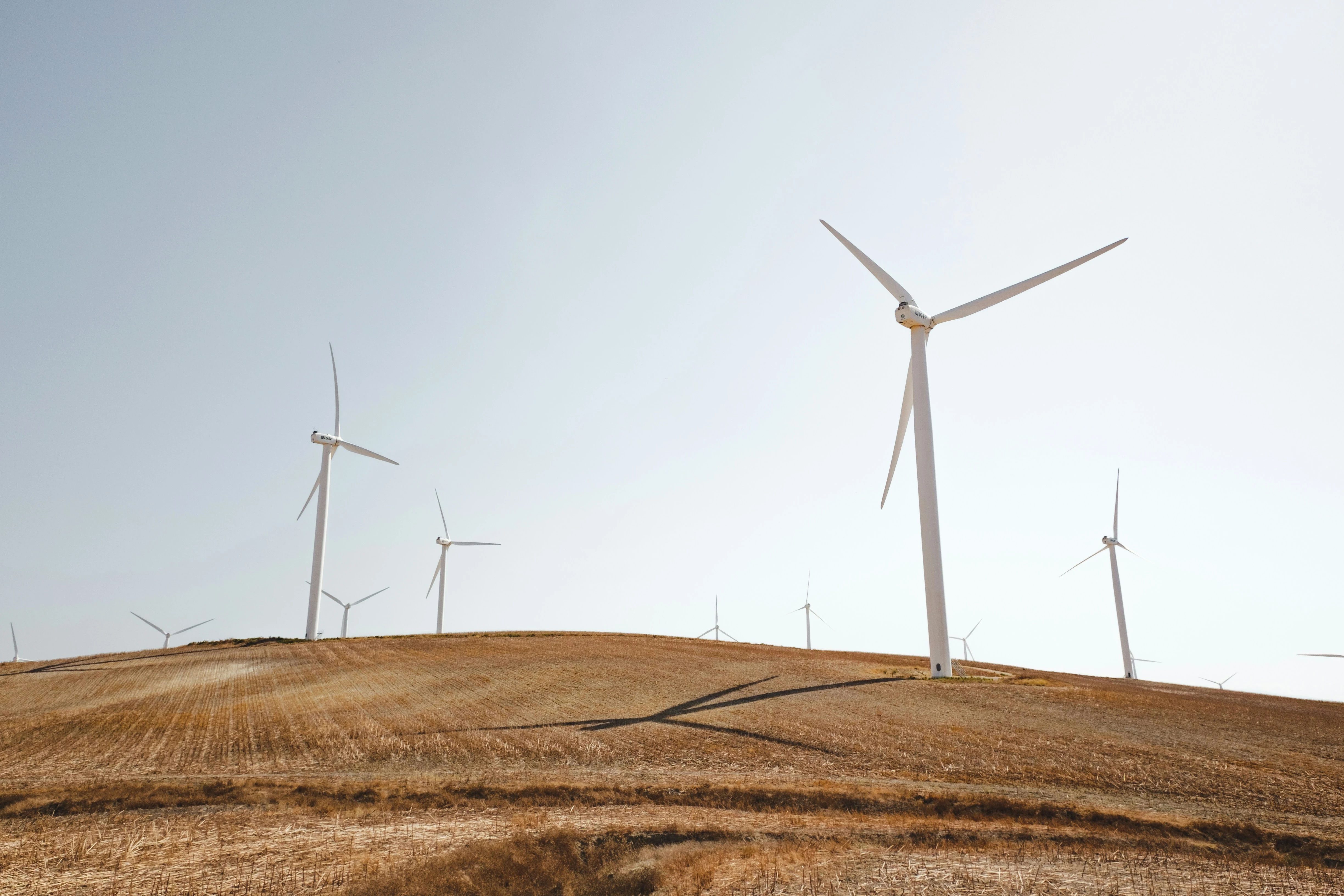 Image of Windmill