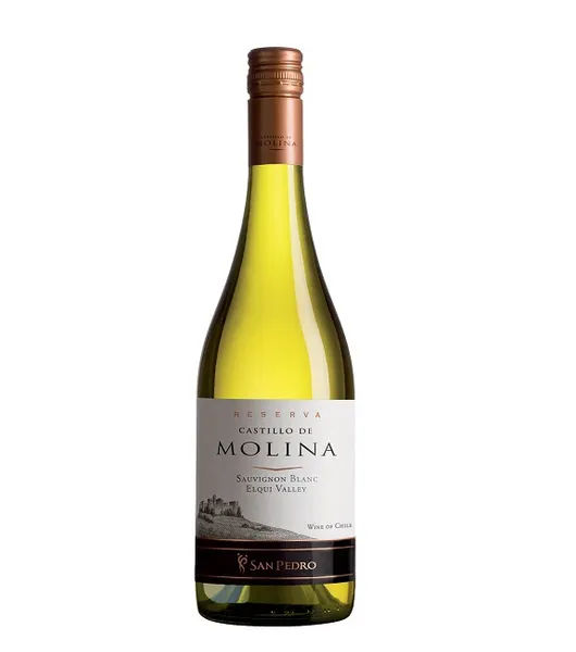 Castillo Del Molina Sauvignon Blanc liquor by Castillo De molina - Drinks Vine in Kenya