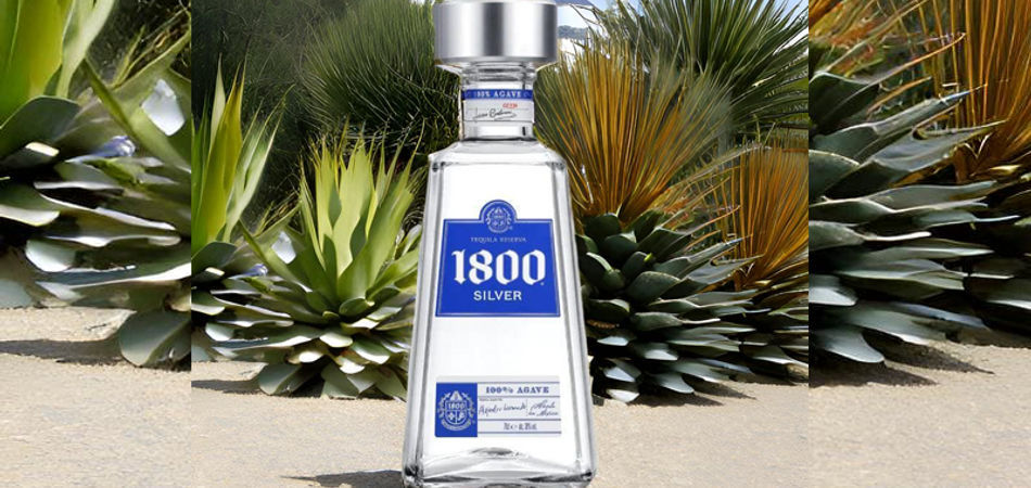 Best cheap Tequilas you should try – top 7 budget Tequila to buy - null