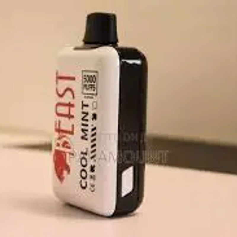 Beast Vape 5000 puffs