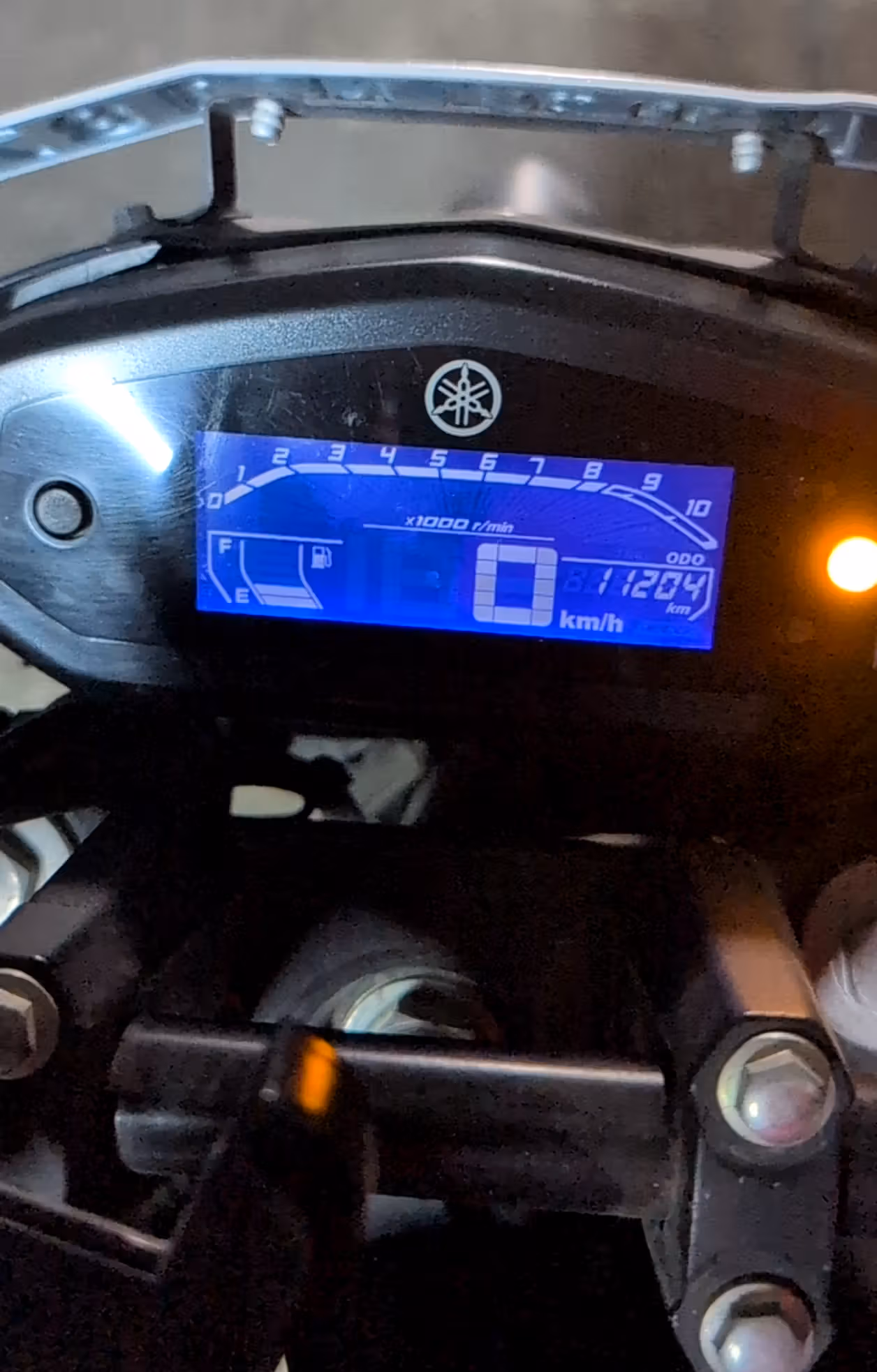 Yamaha FZ Standard
