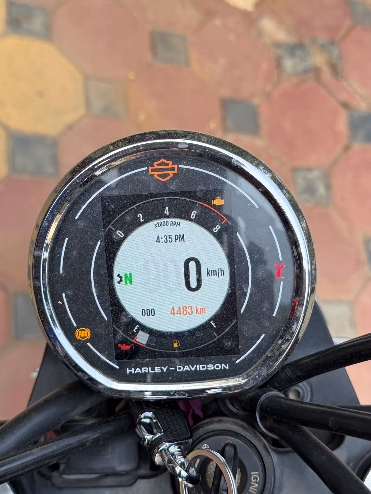 Harley Davidson X440 Vivid