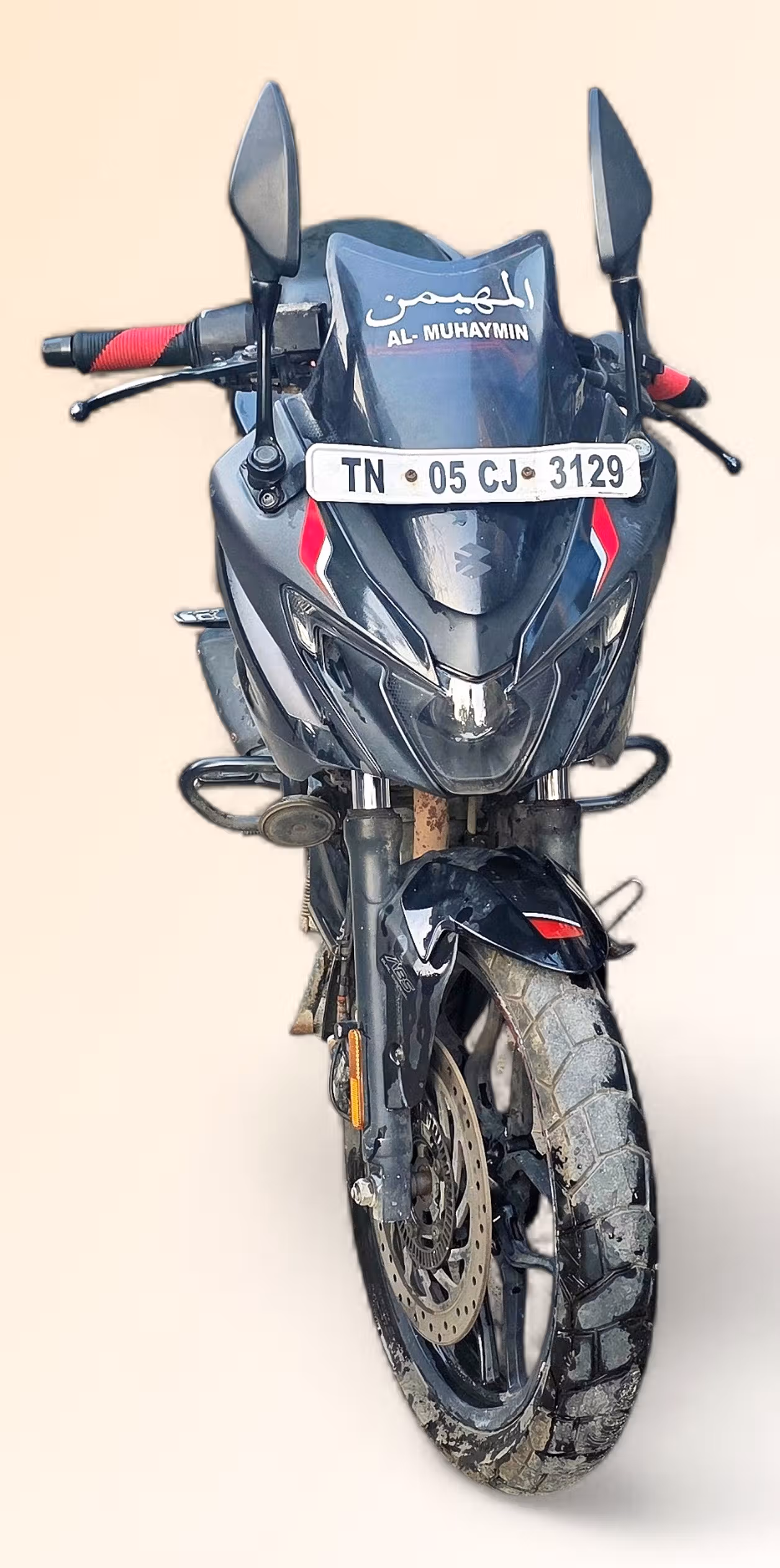 Bajaj Pulsar F250 Dual Channel