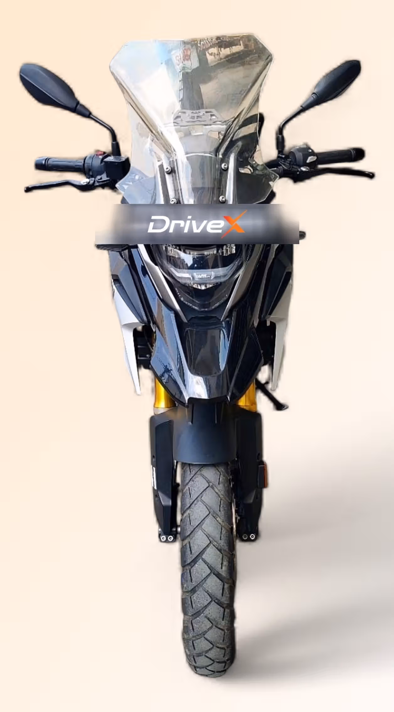 BMW G 310 GS