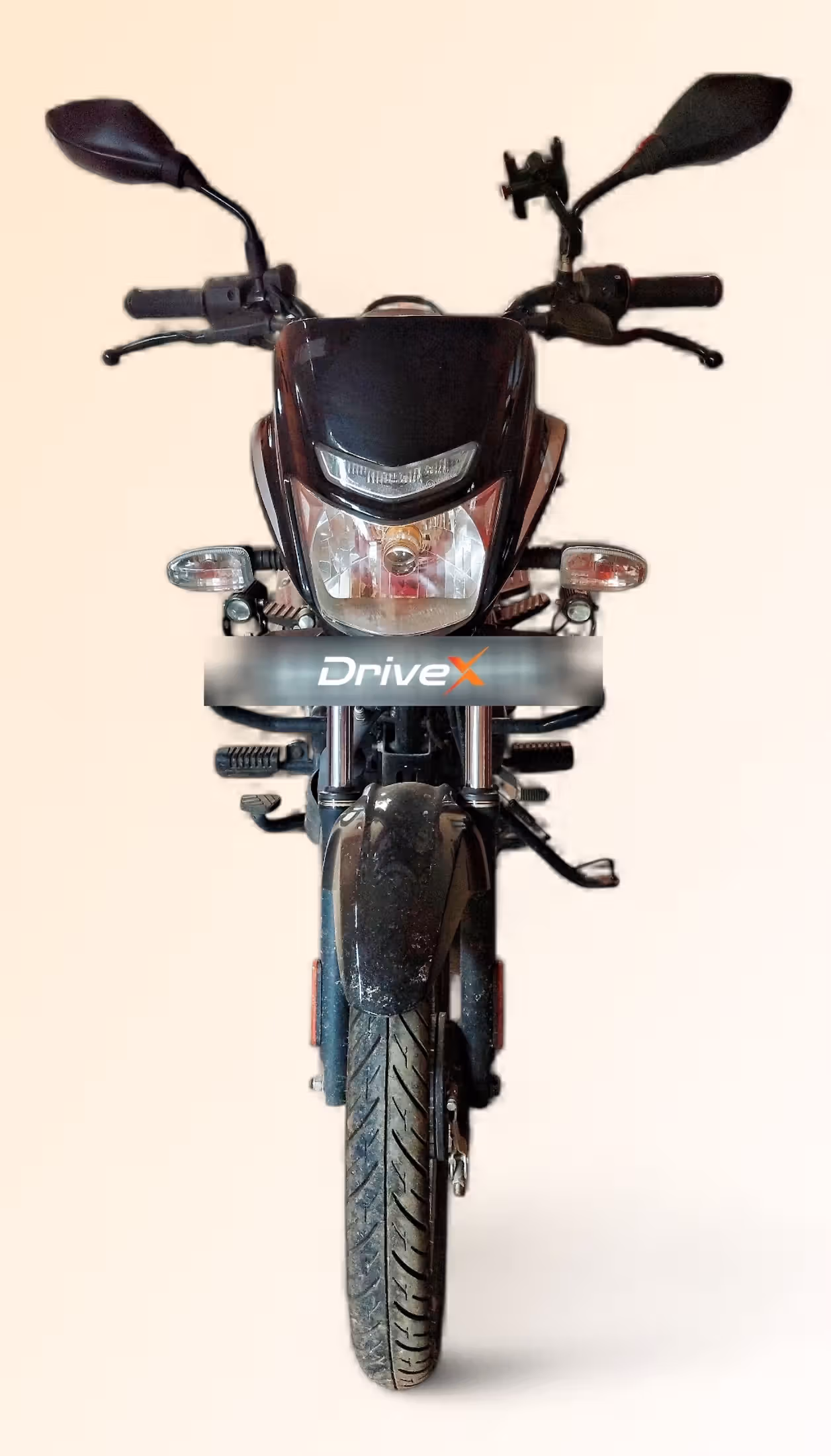 Bajaj Platina 100