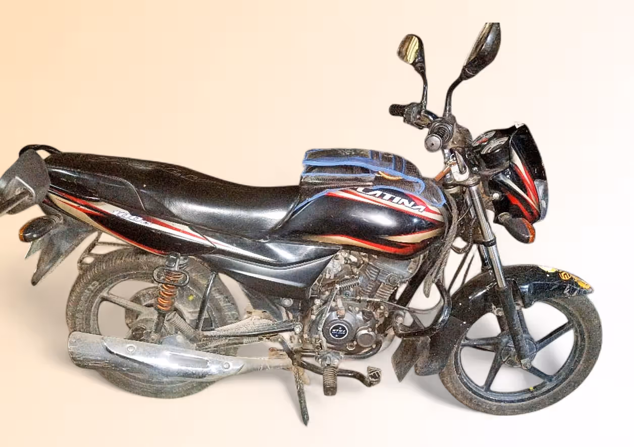 Bajaj Platina 100 Alloy ES