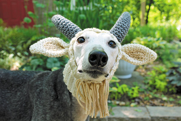 Did you say yarn? Alpaca my bags!
