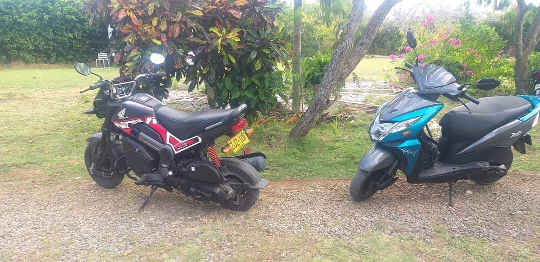 A scooter or mula