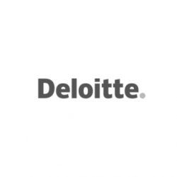 Deloitte gray 2