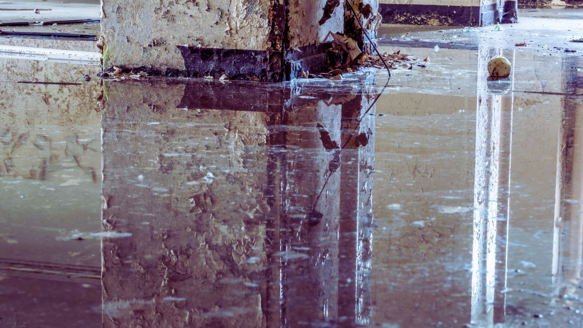 Water Damage Restoration in Kegley, WV