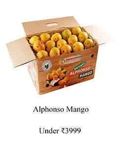 alphonso_mango