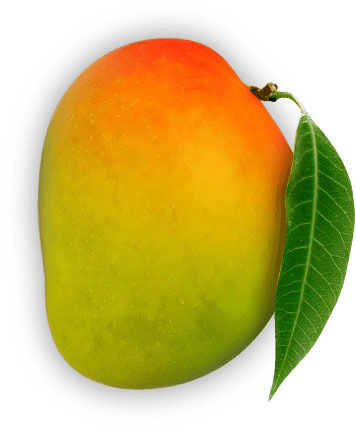 fruits