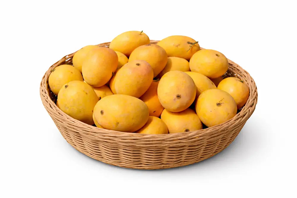 Pre order Ratnagiri Alphonso Mango Carbide Free Hapus