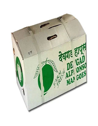 Devgad Alphonso Mango, 12 pieces (approx. 300gm/pc)