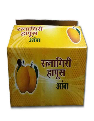 Ratnagiri Alphonso Mango, 12 pieces (approx. 250gm/pc)
