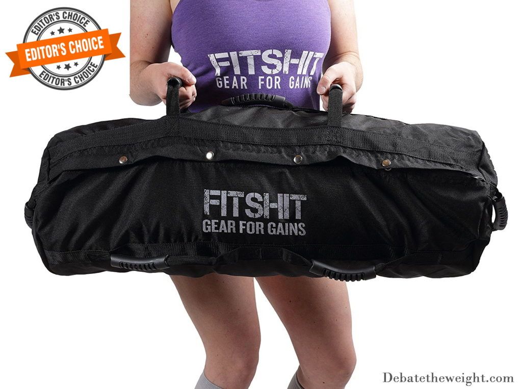 FITSHIT Sandbag for Training Workouts