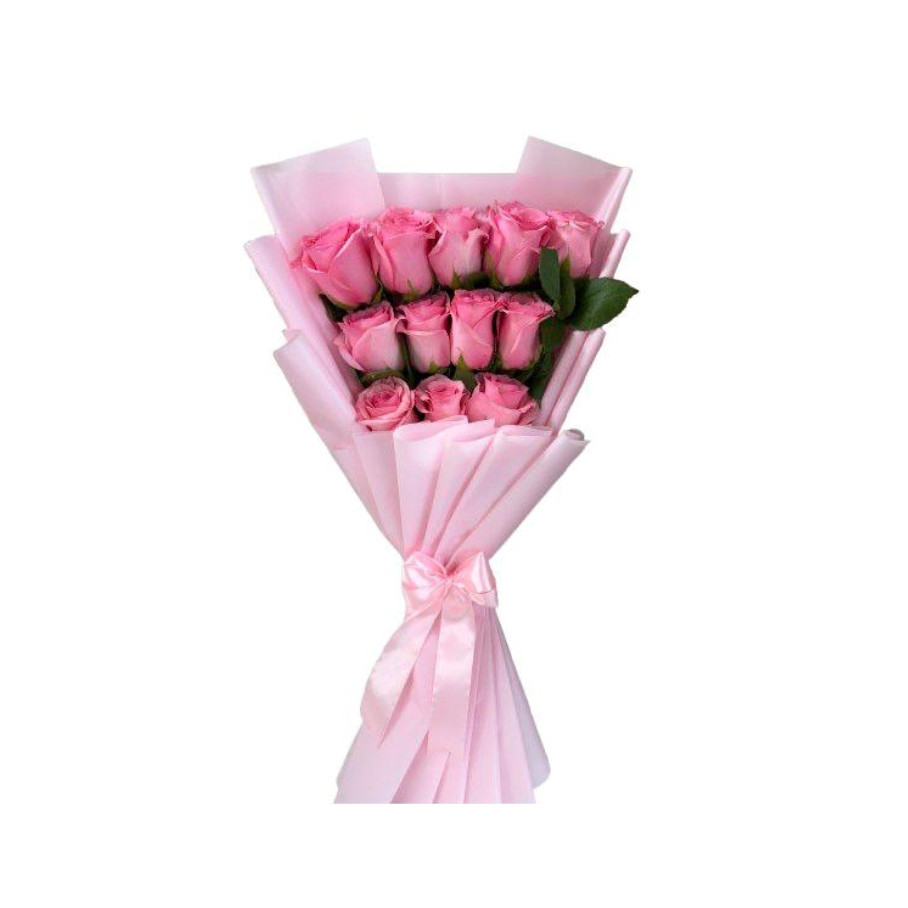12 Pink Roses