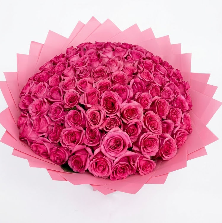 100 Pink Dior Roses