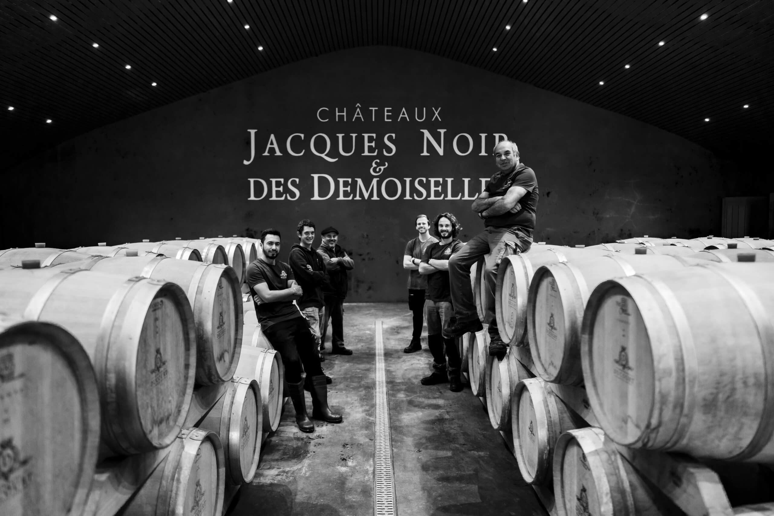 Château des Demoiselles - Ducourt