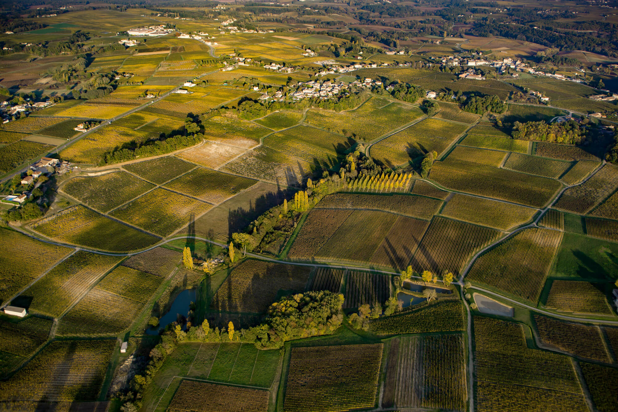 Famille Ducourt - Ducourt