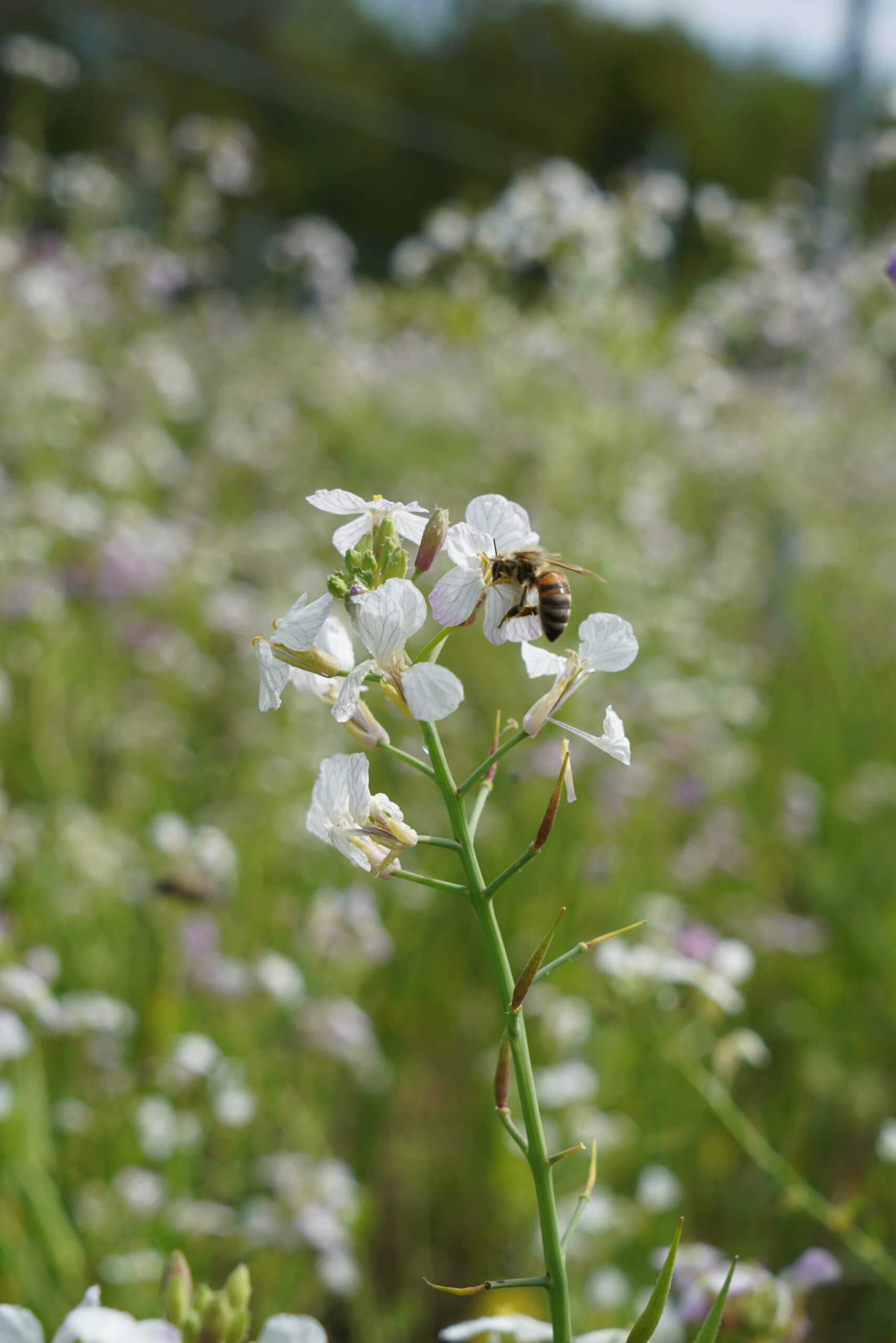 Nos engagements - Ducourt