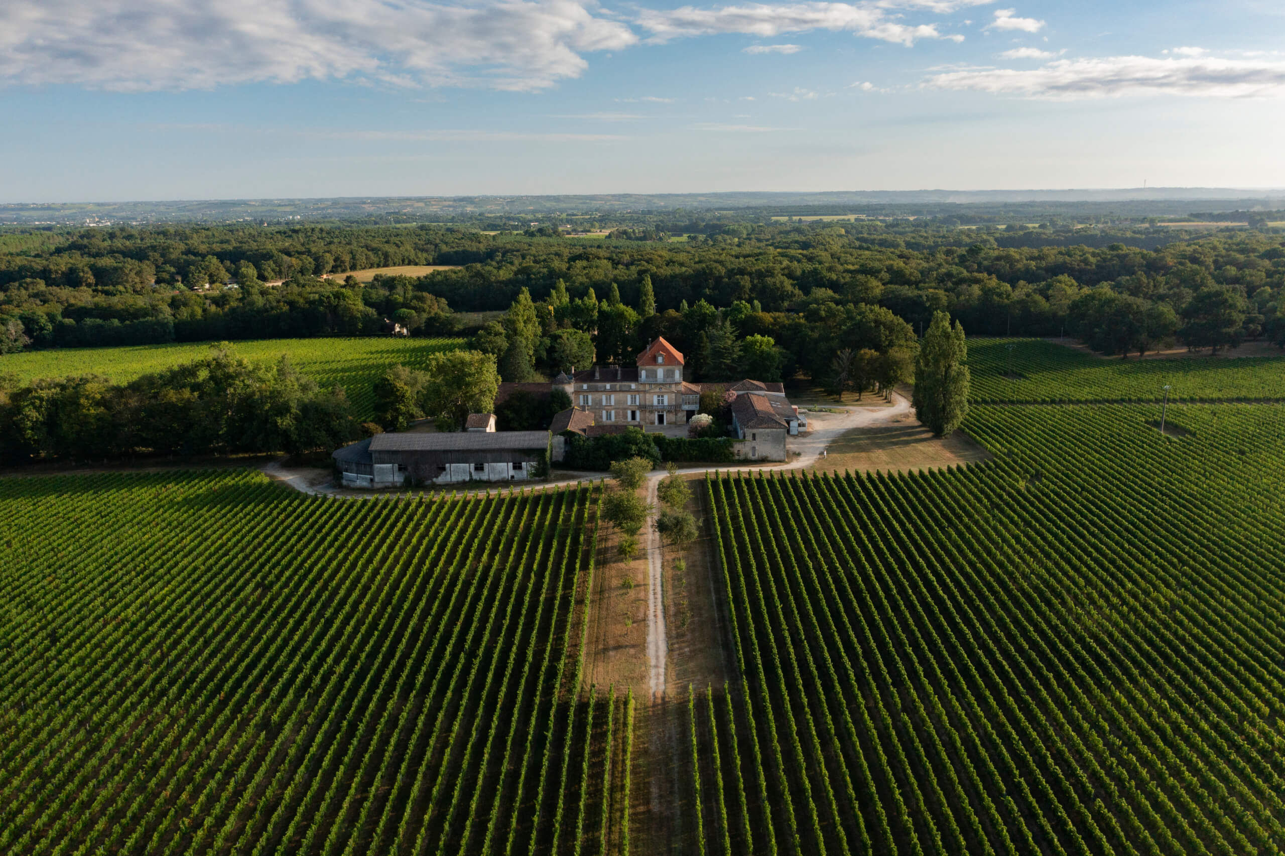 Famille Ducourt - Ducourt