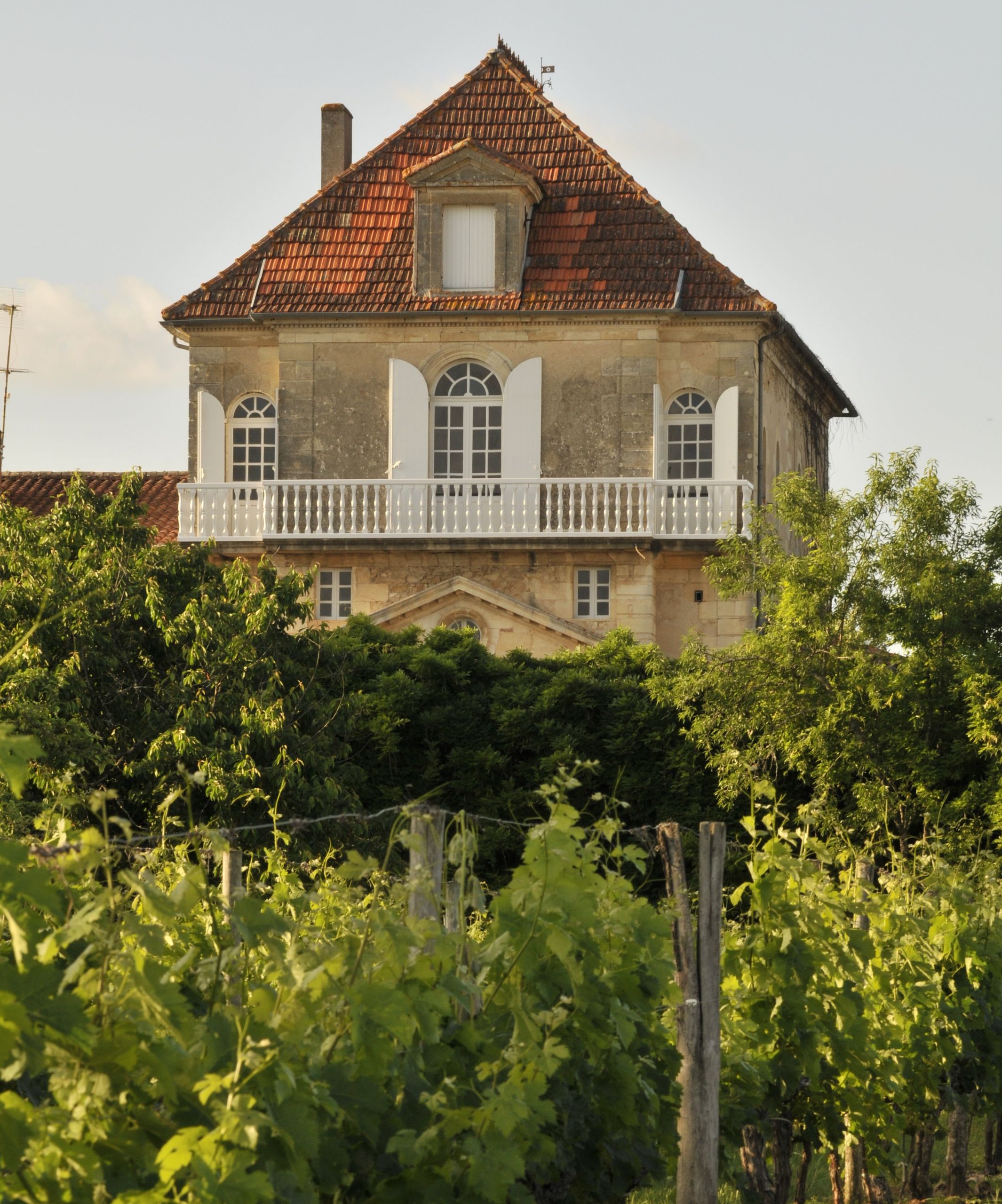 Château Larroque - Ducourt